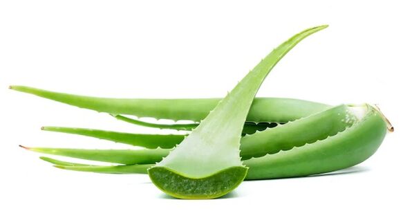 Integkin Aloe içerir